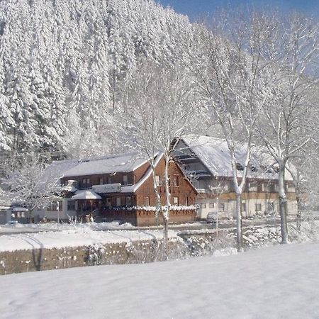 Gruener Hof Hotel Zell am Harmersbach Luaran gambar