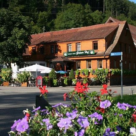 Gruener Hof Hotel Zell am Harmersbach Luaran gambar