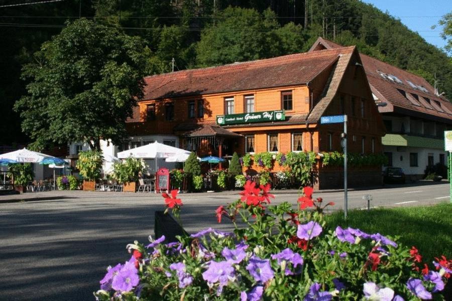 Gruener Hof Hotel Zell am Harmersbach Luaran gambar